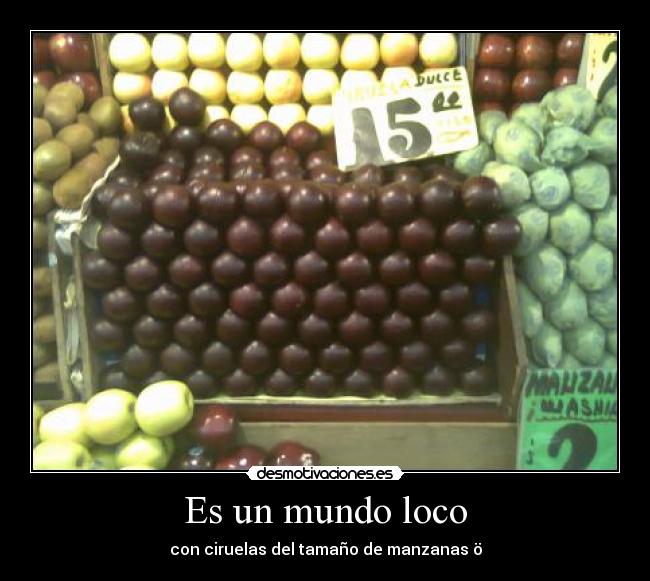 Es un mundo loco -