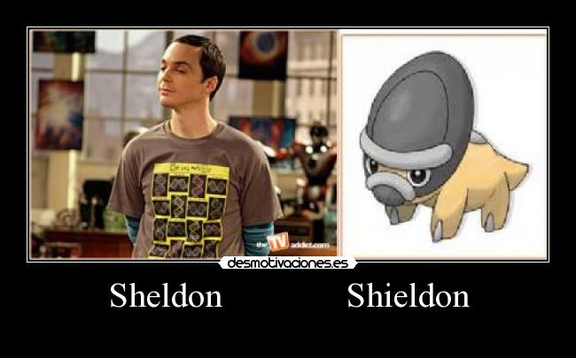 Sheldon Shieldon -