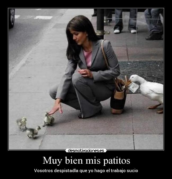 Muy bien mis patitos -
