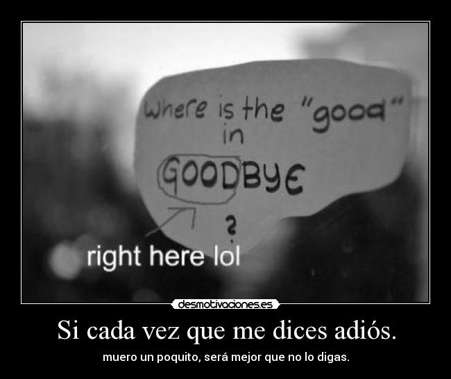 carteles bash agshagshag loz zimpzonzh ewe sujetador desmo der mundo desmotivaciones