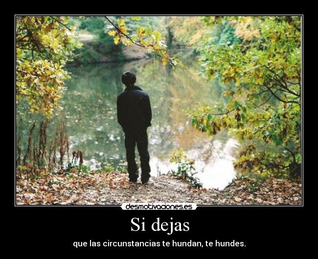 carteles dejes hundir desmotivaciones