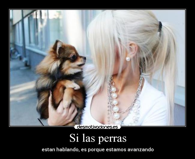 Si las perras - estan hablando, es porque estamos avanzando