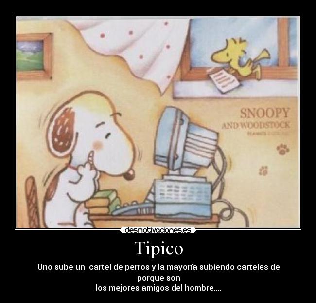 Tipico - Uno sube un  cartel de perros y la mayoría subiendo carteles de porque son
los mejores amigos del hombre....