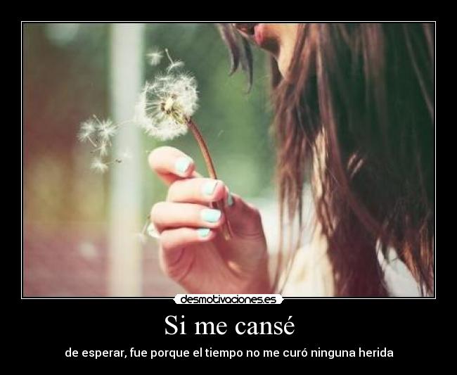 Si me cansé - 