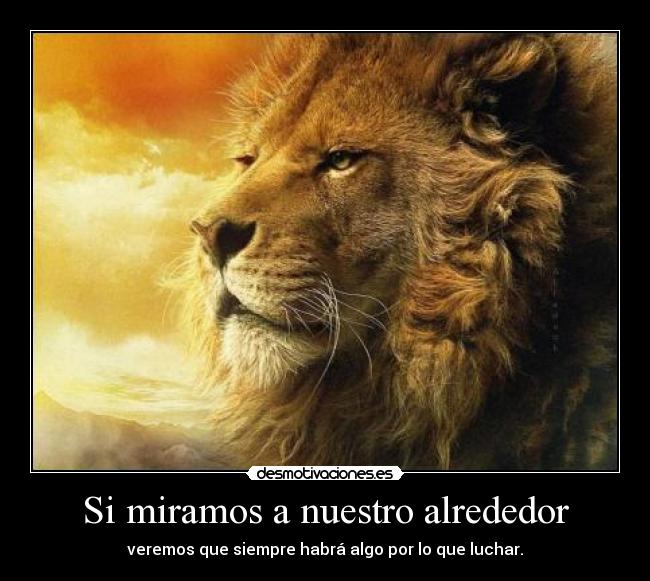 Si miramos a nuestro alrededor -