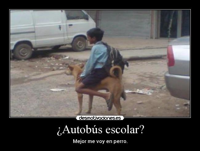 carteles xdddddddddddddddddddddddddd desmotivaciones