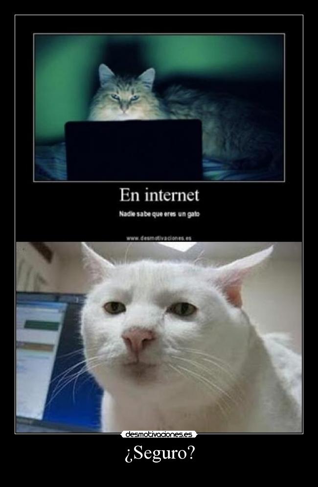 ¿Seguro? -