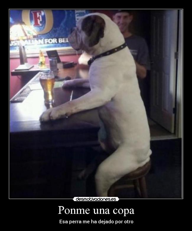 Ponme una copa - Esa perra me ha dejado por otro