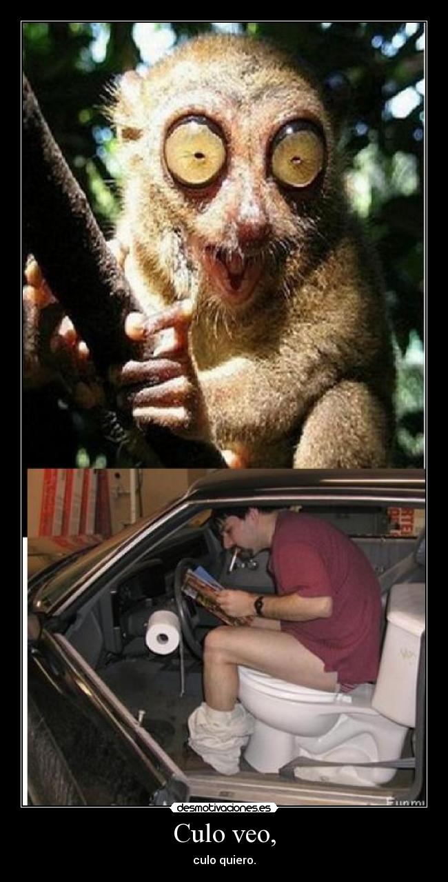 Culo veo, - culo quiero.