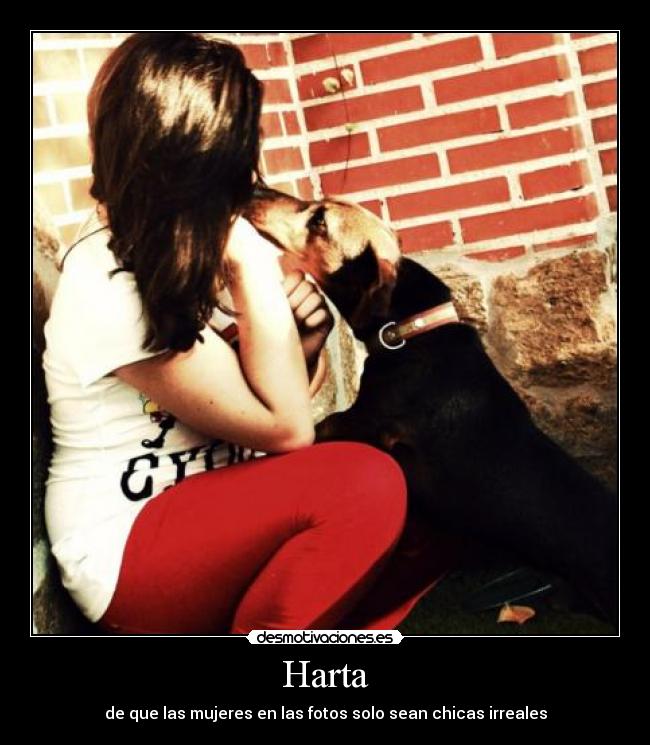 carteles harta las anorexicas vivan las tallas grandes elclanviral desmotivaciones