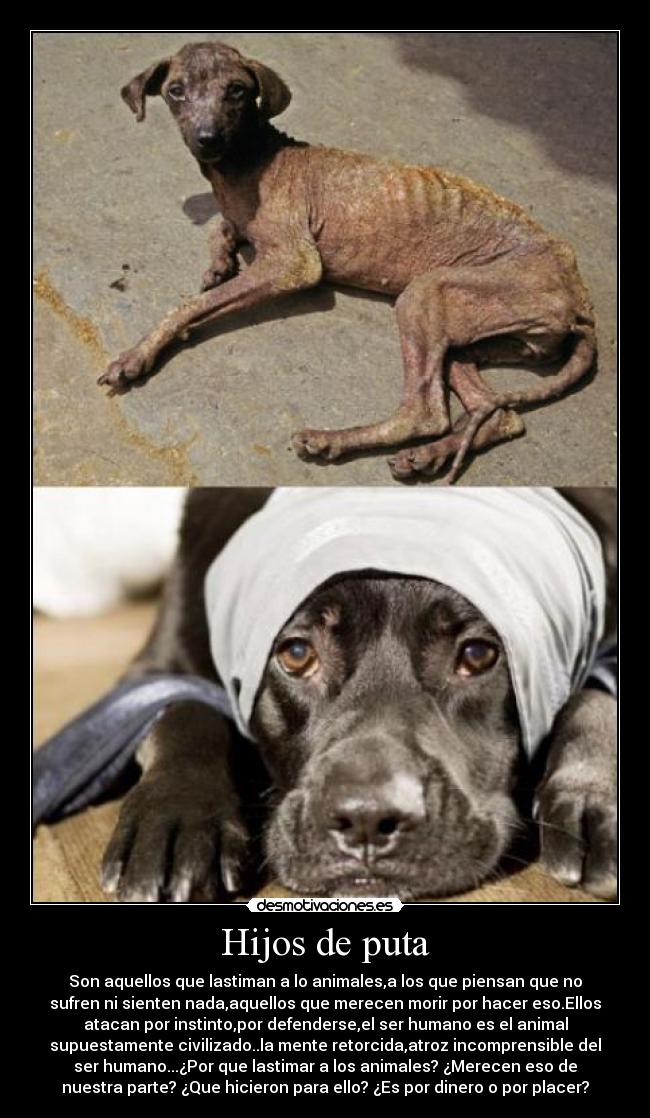 Hijos de puta -