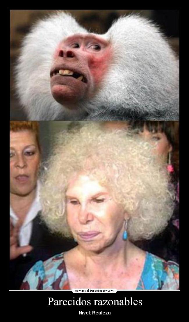 Parecidos razonables -