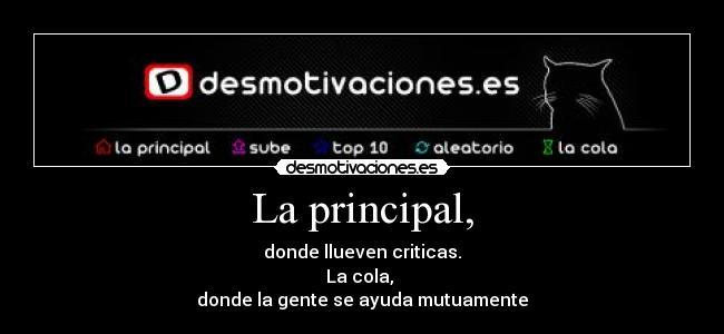 La principal, - donde llueven criticas.
La cola, 
donde la gente se ayuda mutuamente