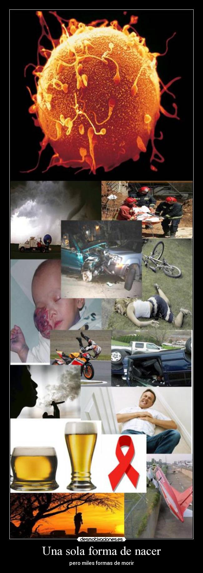 Una sola forma de nacer - pero miles formas de morir
