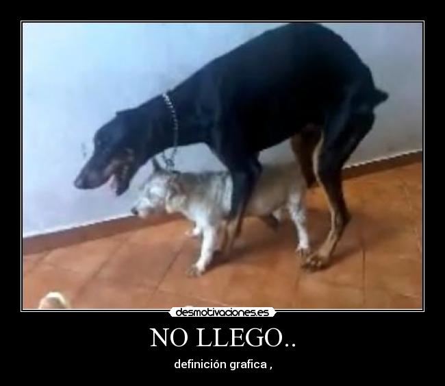 NO LLEGO.. - definición grafica ,