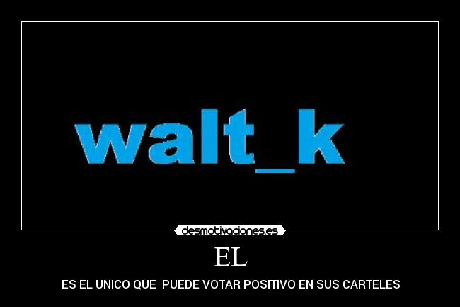 EL - ES EL UNICO QUE PUEDE VOTAR POSITIVO EN SUS CARTELES