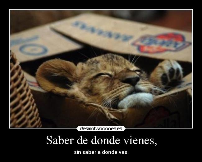 carteles sep desmotivaciones