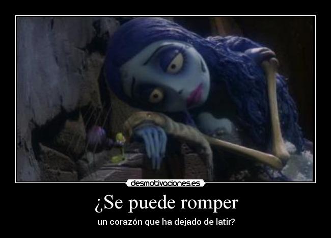 ¿Se puede romper -