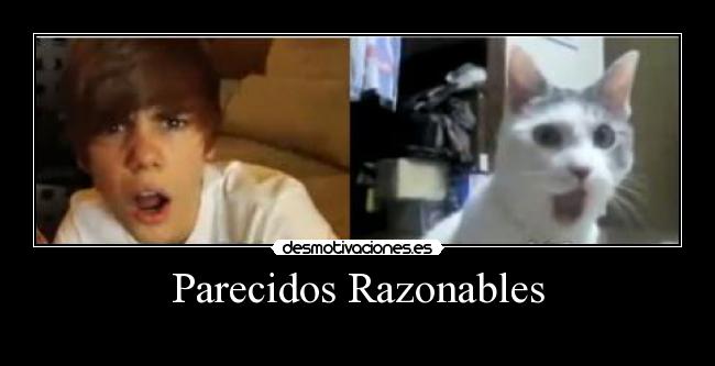 Parecidos Razonables -