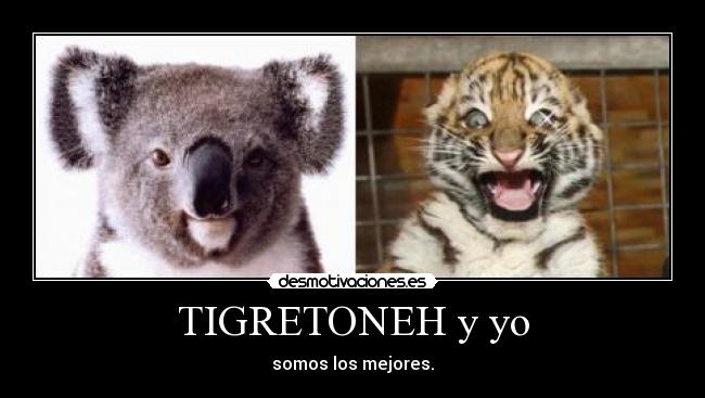 carteles kolangi tigretoneh desmotivaciones