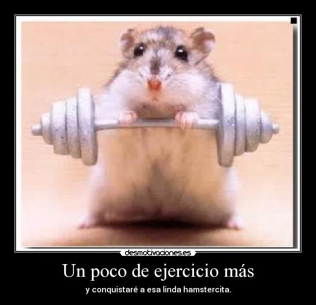 Un poco de ejercicio más - 