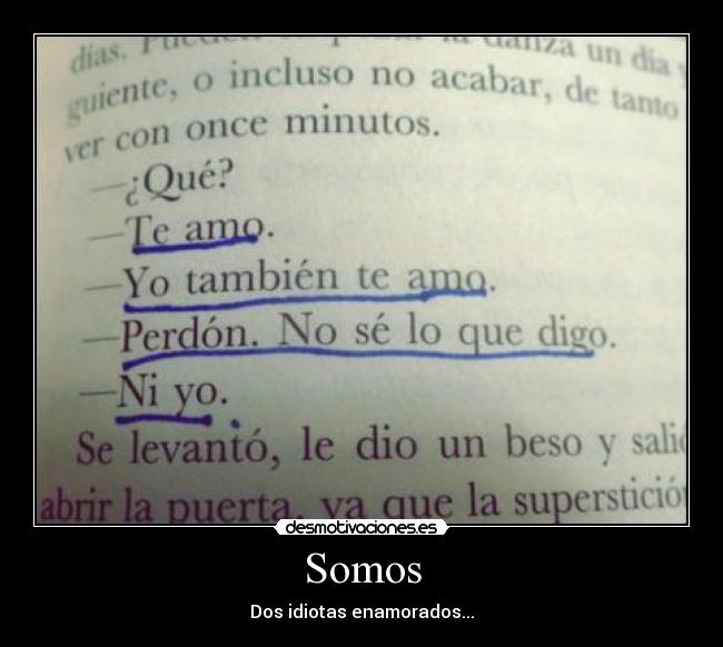 Somos - Dos idiotas enamorados...