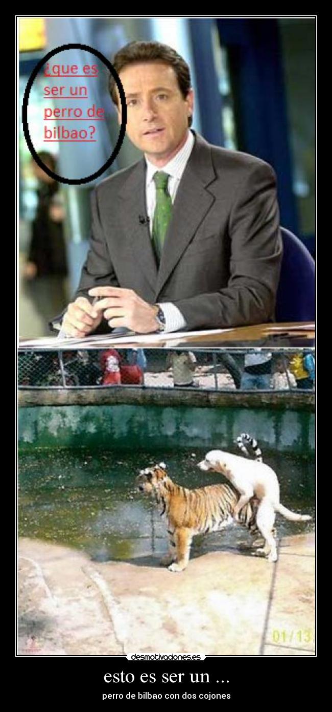 esto es ser un ... - perro de bilbao con dos cojones