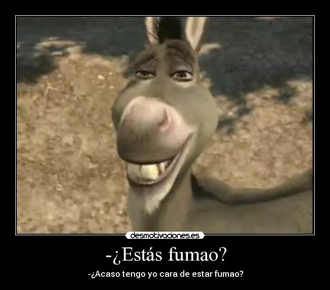 -¿Estás fumao? - -¿Acaso tengo yo cara de estar fumao?