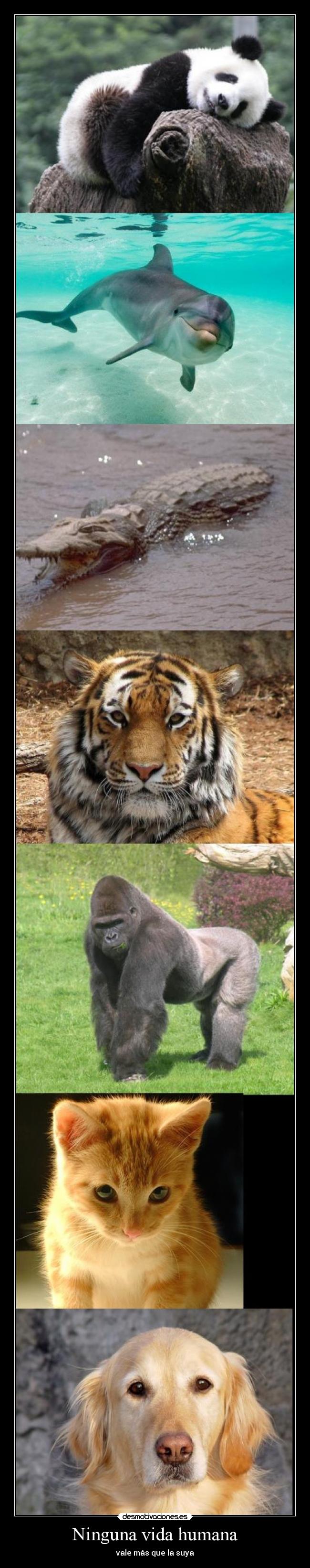 Ninguna vida humana - vale más que la suya