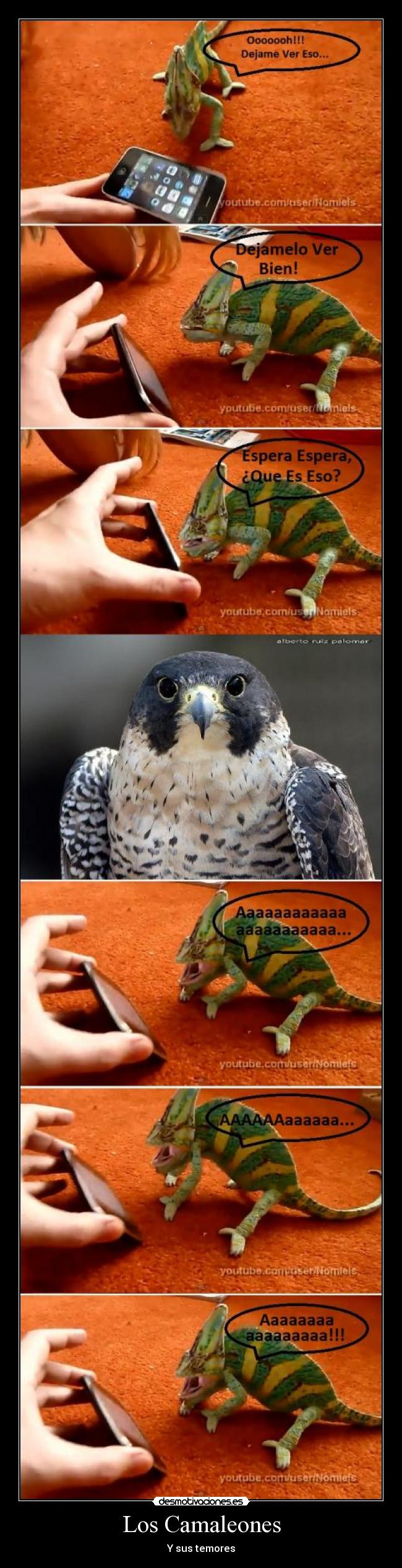Los Camaleones - 