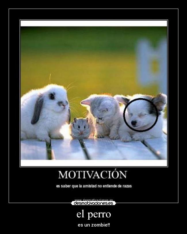 carteles zombie desmotivaciones