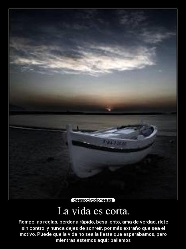 carteles vida vida desmotivaciones