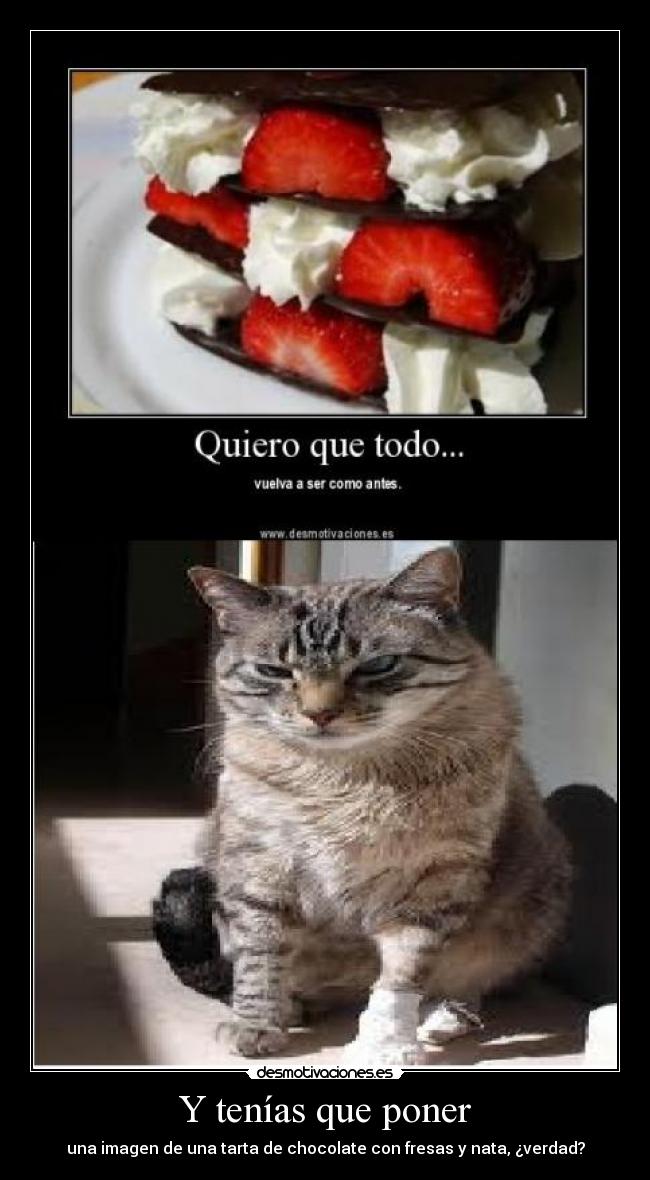 Y tenías que poner - 