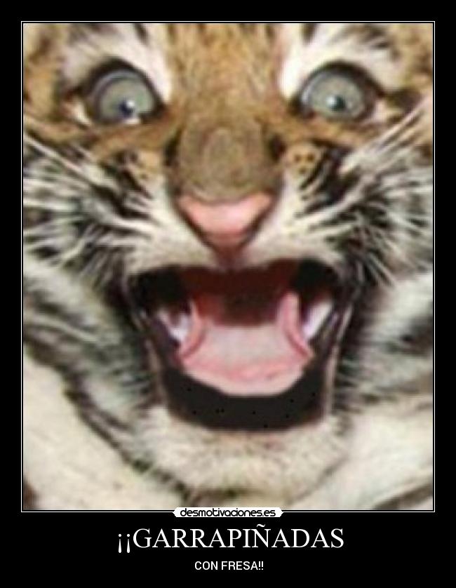 ¡¡GARRAPIÑADAS - 