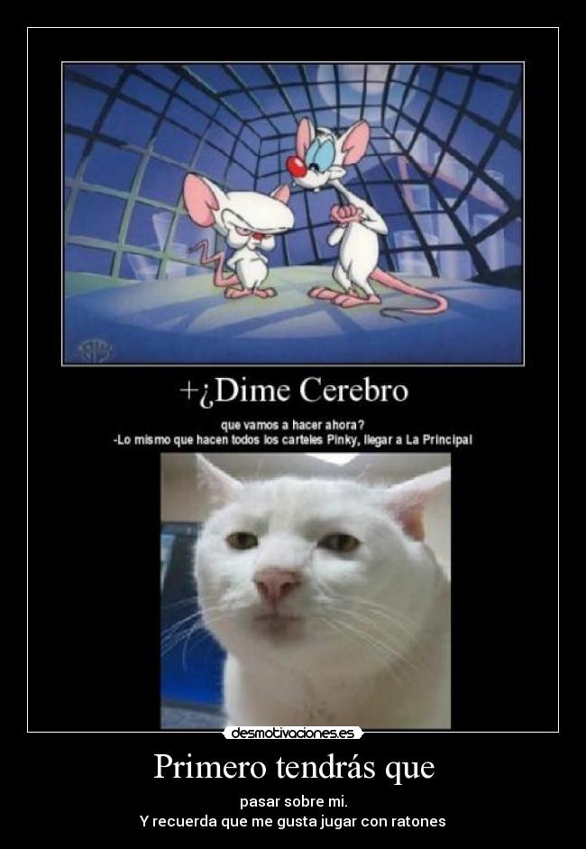 Primero tendrás que - 