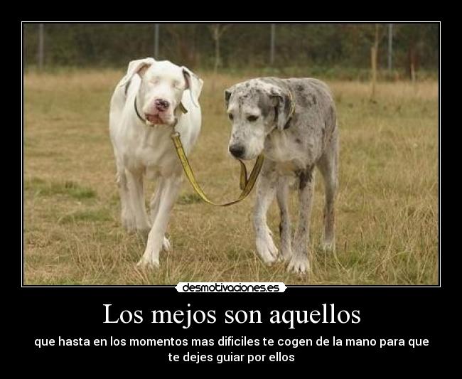 Los mejos son aquellos - que hasta en los momentos mas dificiles te cogen de la mano para que
te dejes guiar por ellos