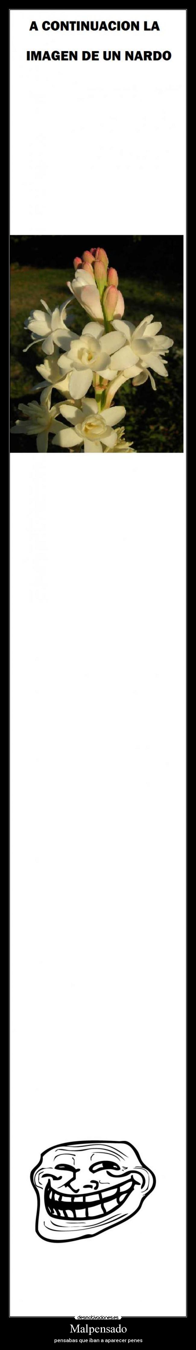 Malpensado - pensabas que iban a aparecer penes