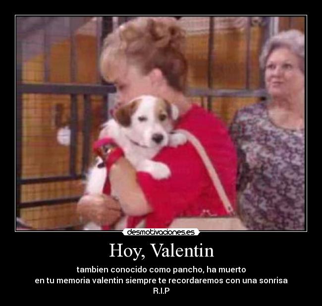 Hoy, Valentin - tambien conocido como pancho, ha muerto
en tu memoria valentin siempre te recordaremos con una sonrisa
R.I.P