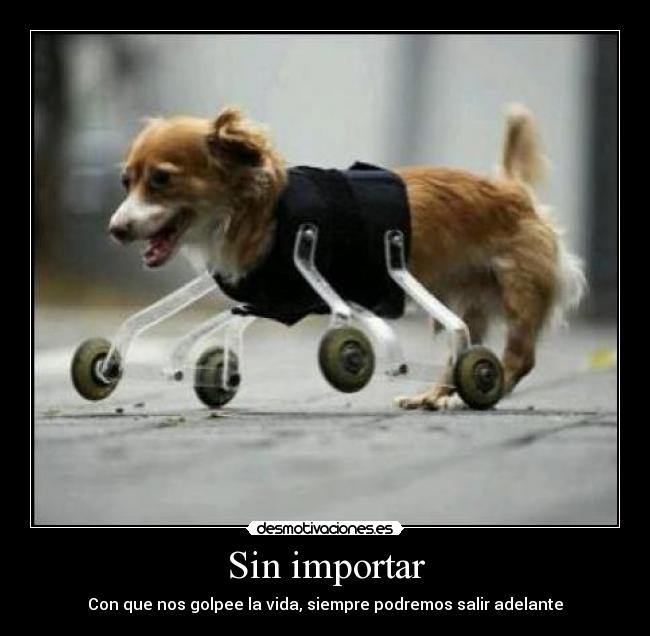 Sin importar -