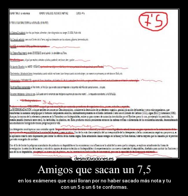 Amigos que sacan un 7,5 -