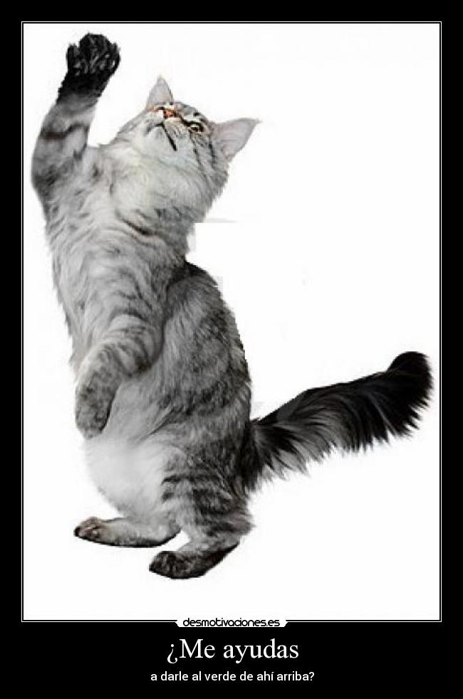 ¿Me ayudas - a darle al verde de ahí arriba?