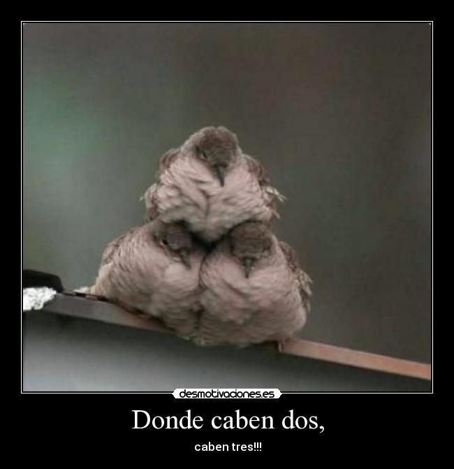 Donde caben dos, - caben tres!!!