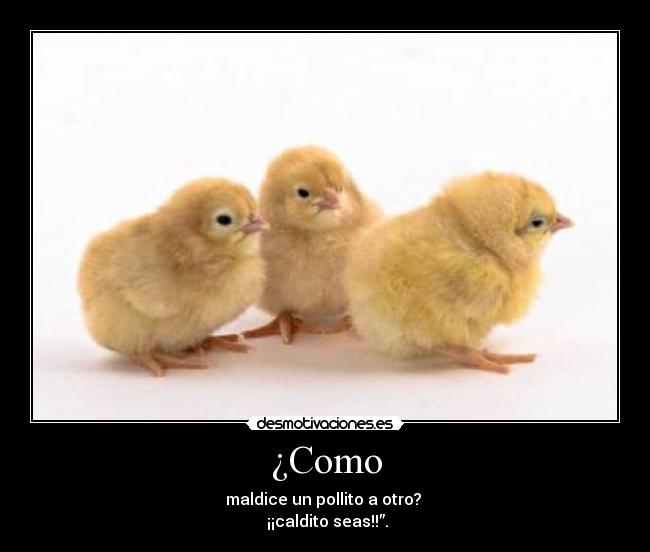 ¿Como -