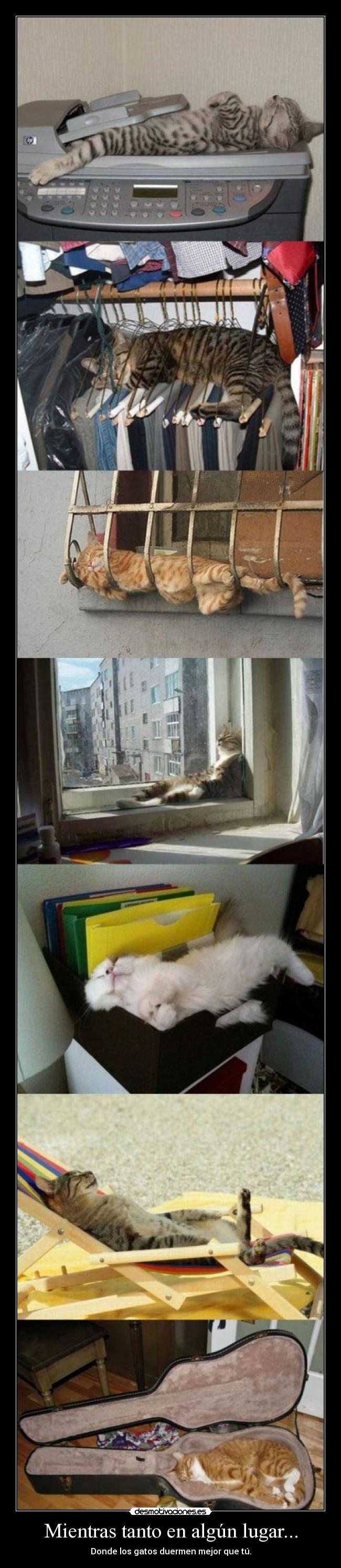 Mientras tanto en algún lugar... - 