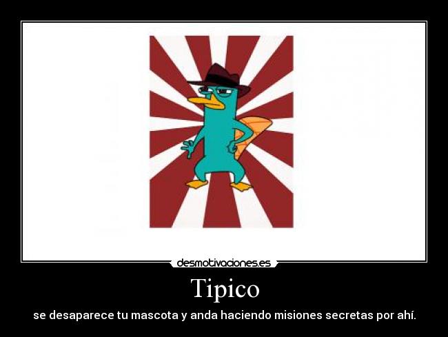 Tipico - se desaparece tu mascota y anda haciendo misiones secretas por ahí.