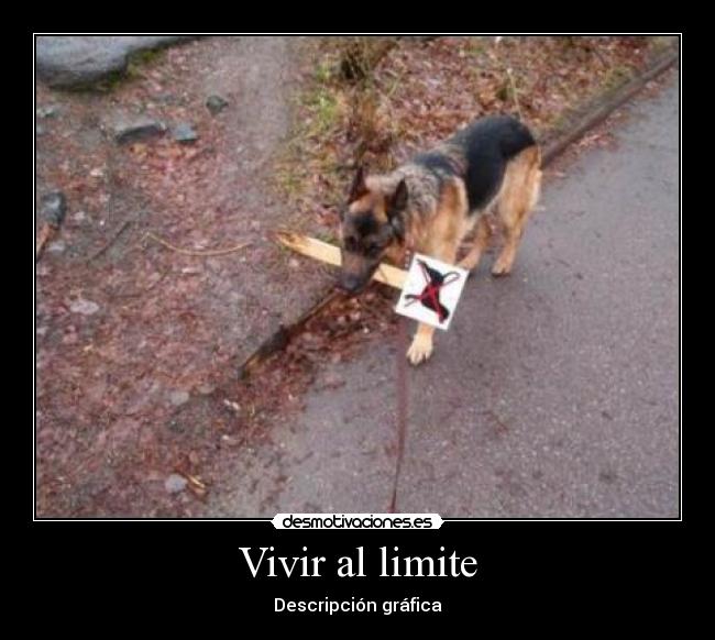 Vivir al limite - Descripción gráfica