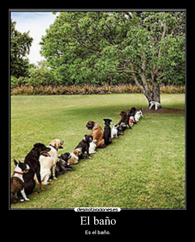 El baño -