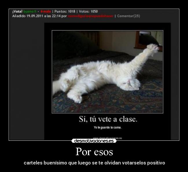 Por esos - carteles buenísimo que luego se te olvidan votarselos positivo