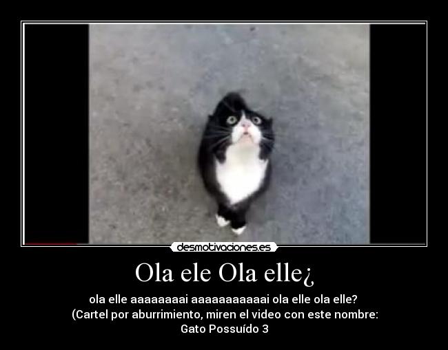 Ola ele Ola elle¿ - ola elle aaaaaaaai aaaaaaaaaaai ola elle ola elle?
(Cartel por aburrimiento, miren el video con este nombre:
Gato Possuído 3