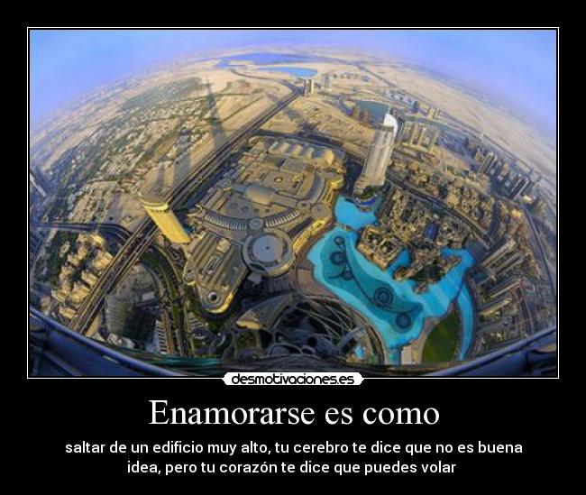 Enamorarse es como - saltar de un edificio muy alto, tu cerebro te dice que no es buena
idea, pero tu corazón te dice que puedes volar